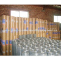 Hot Dipped Galvanized Welded Wire Mesh (CE&SGS)